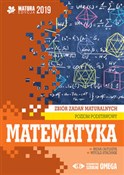 Matematyka... - Irena Ołtuszyk, Witold Stachnik -  fremdsprachige bücher polnisch 