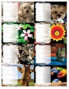 Polska książka : Naklejki n...