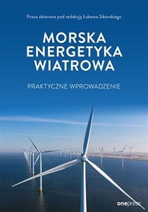 Bild von Morska energetyka wiatrowa: praktyczne wprowadzenie