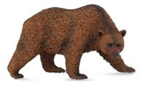 Obrazek Niedźwiedź brązowy stojący L zwierzęta dzikie