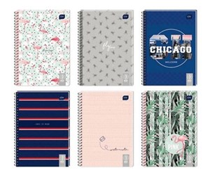 Obrazek Kołozeszyt A5/100K kratka Eco (5szt)