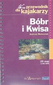 Polska książka : Bóbr i Kwi... - Andrzej Mateusiak