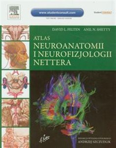 Bild von Atlas neuroanatomii i neurofizjologii Nettera