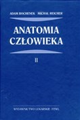 Anatomia c... - Adam Bochenek, Michał Reicher - buch auf polnisch 
