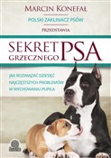 Książka : Sekret grz... - Marcin Konefał