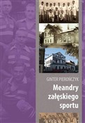 Polska książka : Meandry za... - Ginter Pierończyk