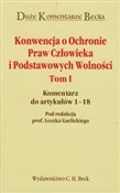 Konwencja ... -  polnische Bücher