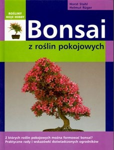 Obrazek Bonsai z roślin pokojowych