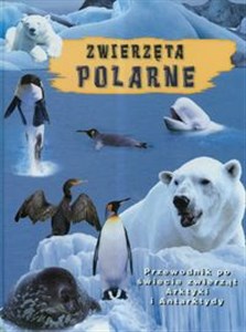 Bild von Zwierzęta polarne Przewodnik po świecie zwierząt Arktyki i Antarktydy