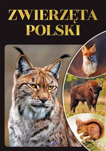 Bild von Zwierzęta Polski