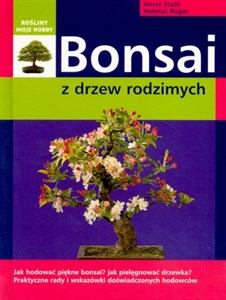 Bild von Bonsai z drzew rodzimych