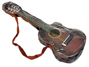 Obrazek Gitara w pokrowcu