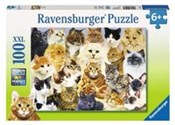 Puzzle 100... -  fremdsprachige bücher polnisch 