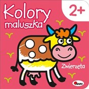 Polska książka : Kolory mal... - Piotr Kozera