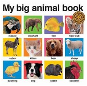 Obrazek My Big Animal Book