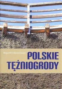 Obrazek Polskie tężniogrody