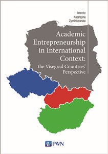 Bild von Academic Entrepreneurship in International Context: the Visegrad Countries' Perspective