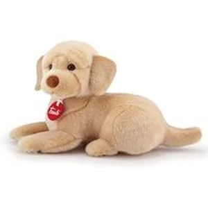 Bild von Labrador Liam