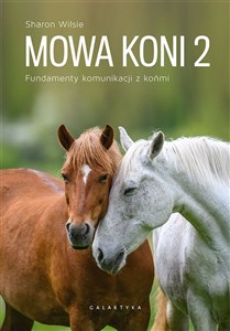 Bild von Mowa koni 2 Fundamenty komunikacji z końmi
