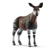 Zobacz : Okapi Leśn...