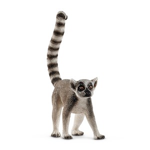 Bild von Lemur