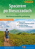 Przewodnik... - Stanisław Orłowski - Ksiegarnia w niemczech