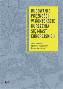 Bild von Budowanie prężności w kontekście kurczenia się miast europejskich