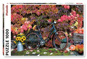 Bild von Puzzle 1000 Jesienne Impresje 5582