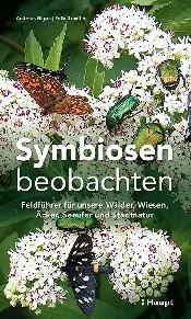 SCHEIDEGGE... - Ksiegarnia w niemczech