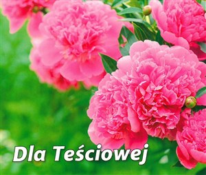 Bild von Dla teściowej perełki