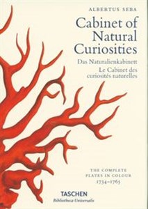 Bild von Cabinet of Natural Curiosities