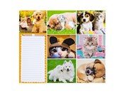 Blok magne... -  fremdsprachige bücher polnisch 