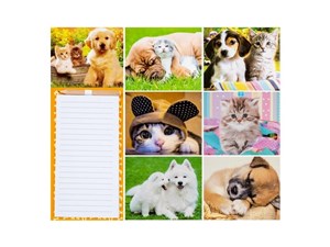 Bild von Blok magnetyczny zwierzęta MIX