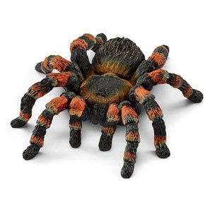 Bild von Tarantula SLH14829