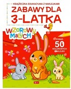 Wzorowy ma... - Opracowanie Zbiorowe - buch auf polnisch 