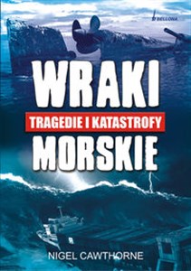 Bild von Wraki tragedie i katastrofy morskie