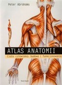 Atlas anat... - Peter Abrahams -  Polnische Buchandlung 