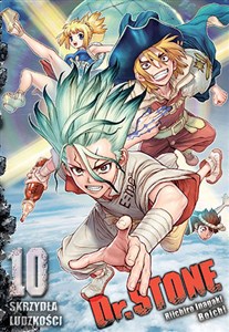 Bild von Dr Stone. Tom 10