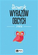 Polnische buch : Słownik wy... - Lidia Wiśniakowska
