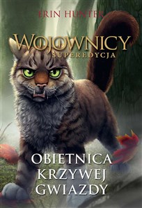 Bild von Wojownicy Superedycja Obietnica Krzywej Gwiazdy