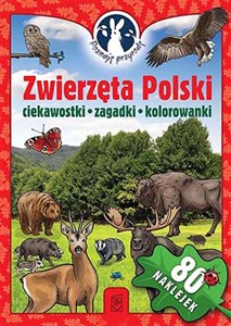 Bild von Poznaję przyrodę Zwierzęta Polski