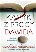 Kamyk z pr... - Waldemar Chrostowski, Tomasz Rowiński - Ksiegarnia w niemczech