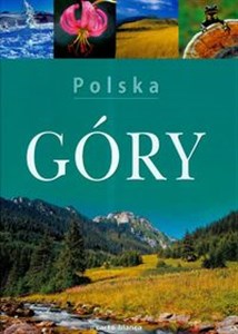 Bild von Polska Góry