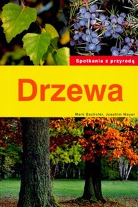 Obrazek Drzewa Spotkania z przyrodą