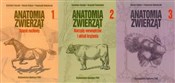 Anatomia z... - Henryk Kobryń, Franciszek Kobryńczuk, Kazimierz Krysiak -  Książka z wysyłką do Niemiec 