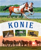 Konie - Małgorzata Mąkosa - buch auf polnisch 