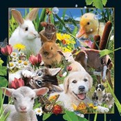 Pocztówka ... -  polnische Bücher