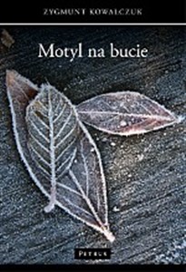 Obrazek Motyl na bucie