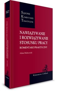 Bild von Nawiązywanie i rozwiązywanie stosunku pracy Komentarz praktyczny