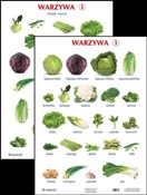 Plansza - ... -  fremdsprachige bücher polnisch 